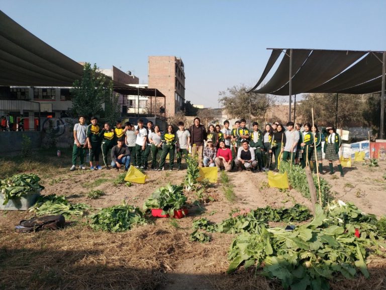 AGRICULTURA URBANA EN COLEGIO VIVANCO DE ATE, LIMA