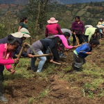 CAPACIDADES AGROPECUARIAS DE MUJERES DE COMUNIDADES CAMPESINAS DE HUÁNUCO