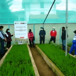 La Molina y PROVIAS en la Región Huancavelica