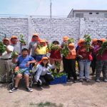 PRODUCCIÓN DE HORTALIZAS EN INABIF