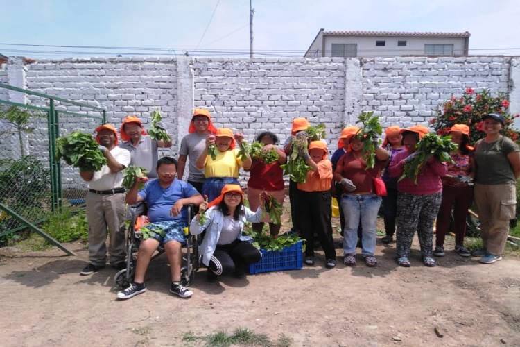 PRODUCCIÓN DE HORTALIZAS EN INABIF