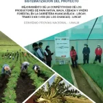 SISTEMATIZACION DEL PROYECTO PRODUCTIVO EN HUANCAVELICA