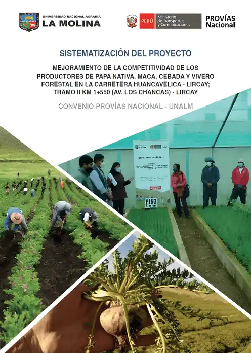 SISTEMATIZACION DEL PROYECTO PRODUCTIVO EN HUANCAVELICA