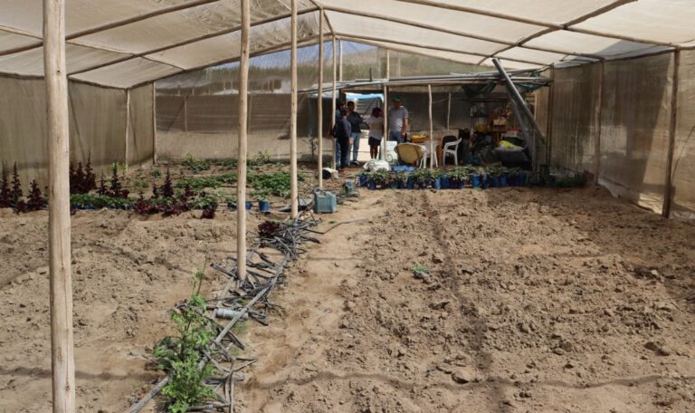 area_de_trabajo_terreno