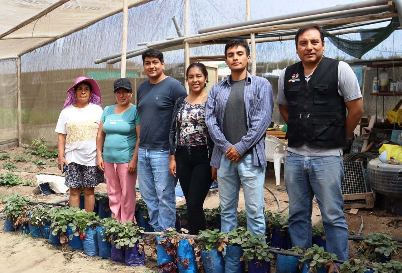 Aprendizaje-Servicio para fortalecimiento de la seguridad alimentaria en el club de madres de Chancayllo​