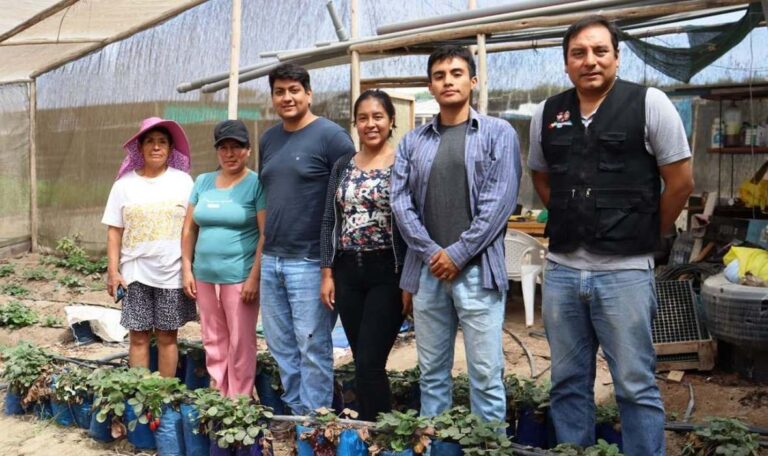 equipo_de_trabajov3